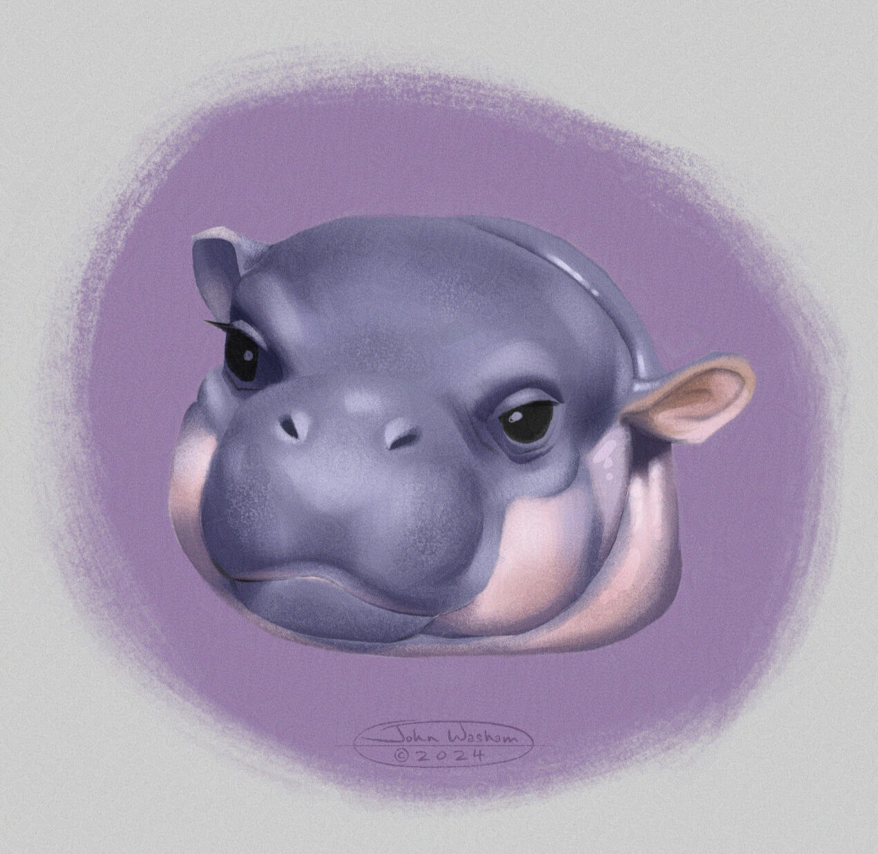 Baby Hippo Moo Deng