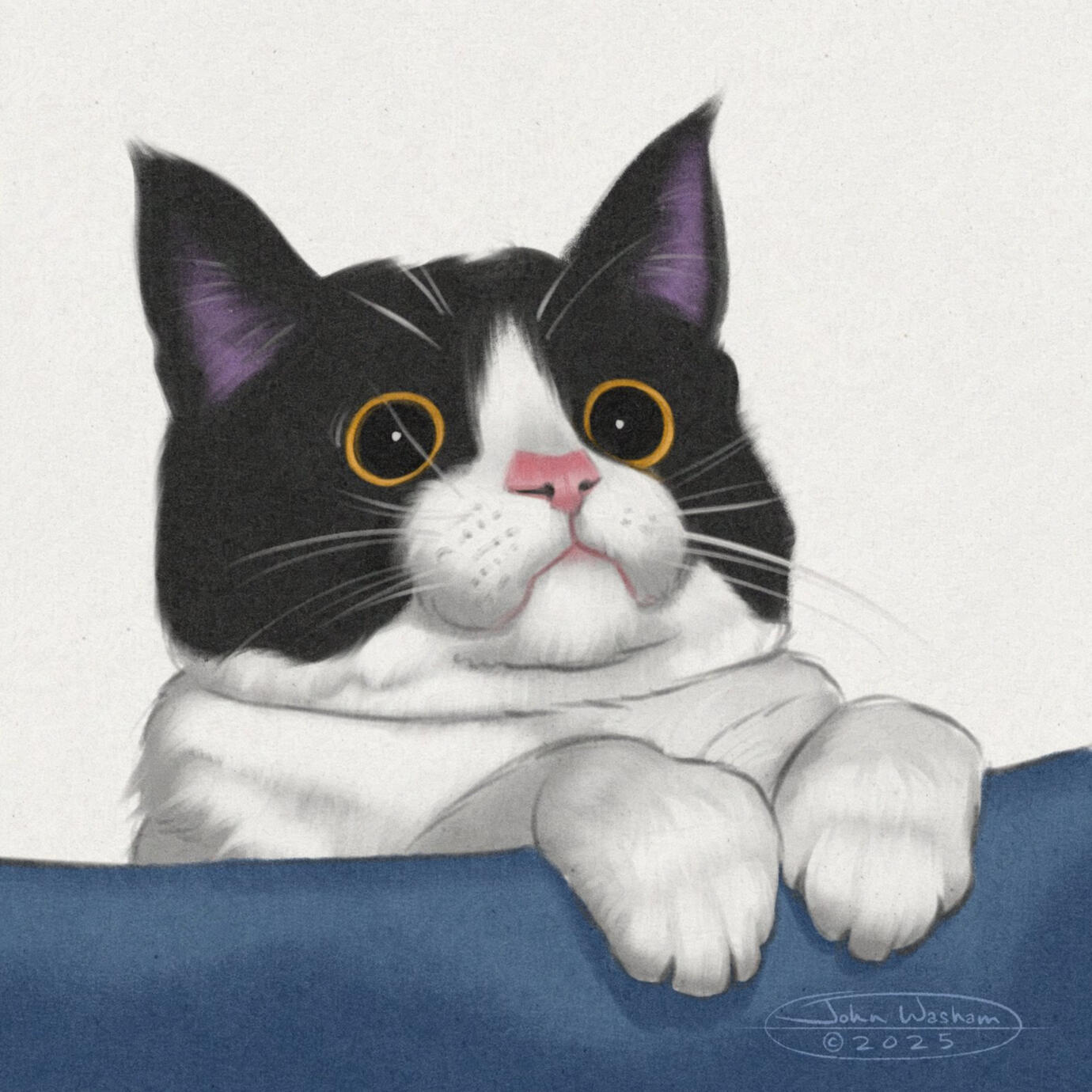 Kitty